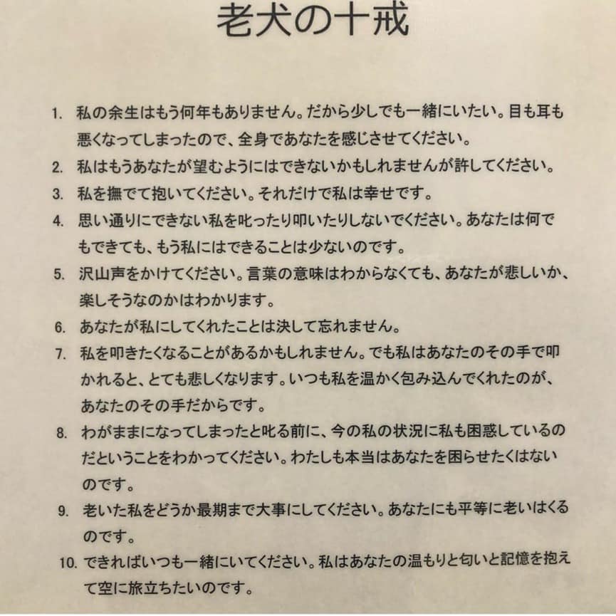 🐾今日の里親様募集中ワンコ🐶メンバーです🐾2021,3,2